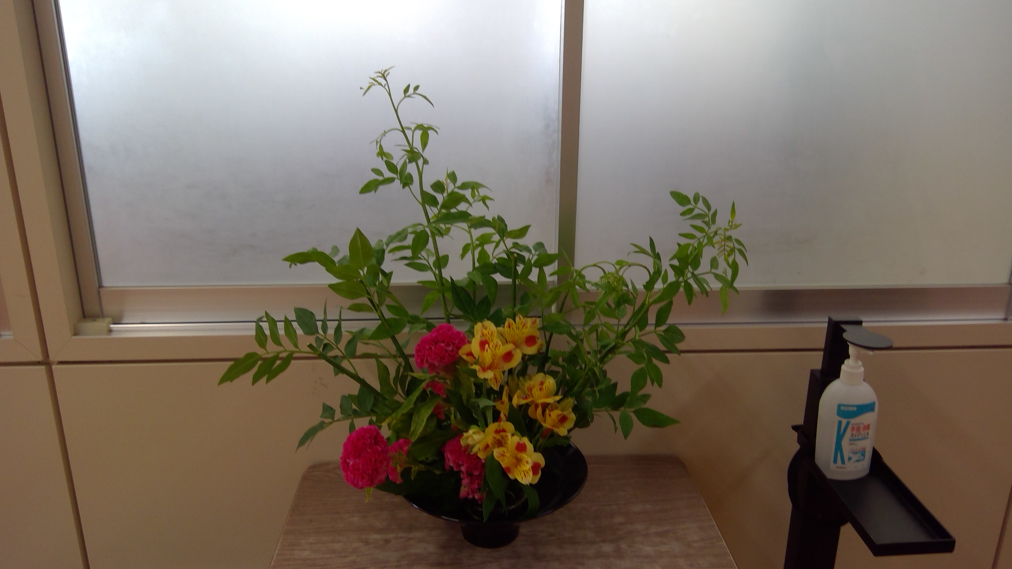 WIN_20250613_11_43_11_Pro