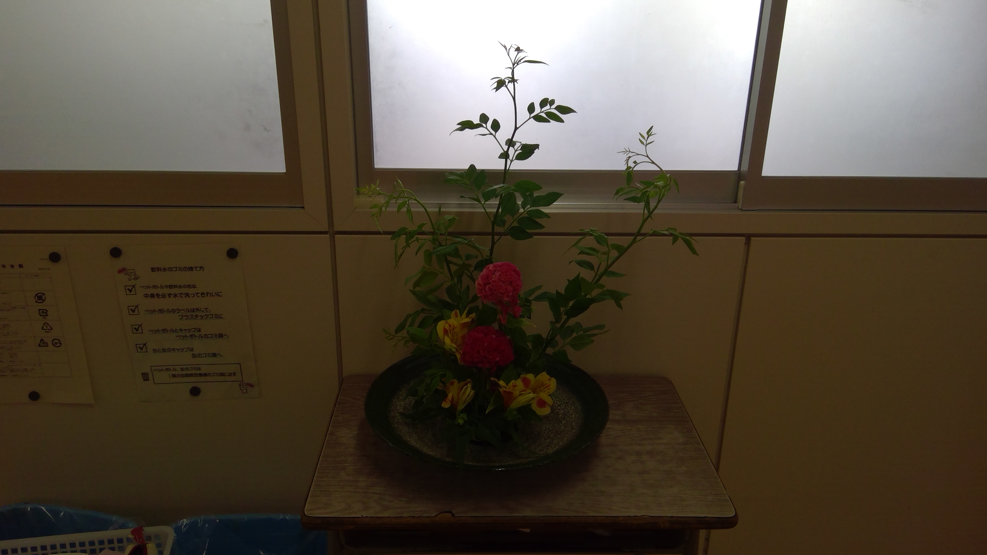 WIN_20250613_11_42_55_Pro