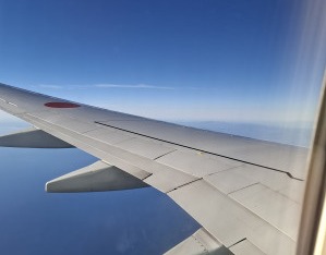 1000017928